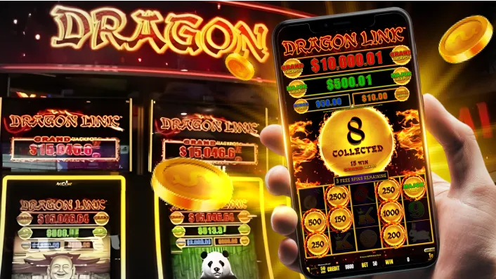 How to Play Bingo Guide